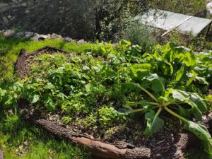 expériences dans mon jardin