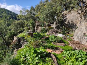 Mon terrain en Permaculture