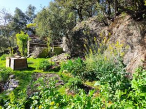 Mon jardin en Permaculture